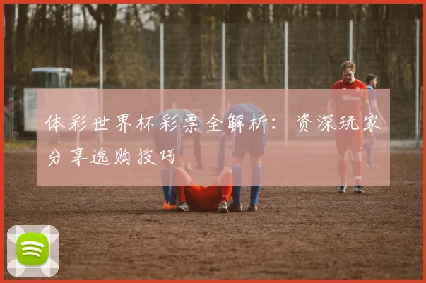 体彩世界杯彩票全解析:资深玩家分享选购技巧
