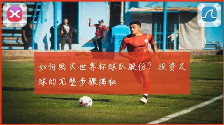 如何购买世界杯球队股份？投资足球的完整步骤揭秘