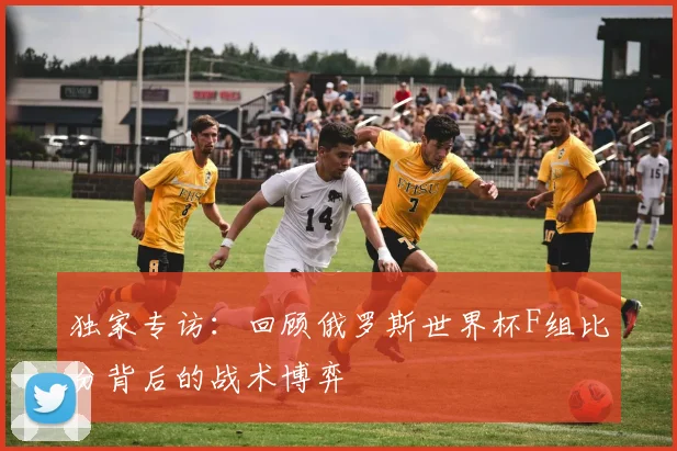 独家专访:回顾俄罗斯世界杯F组比分背后的战术博弈
