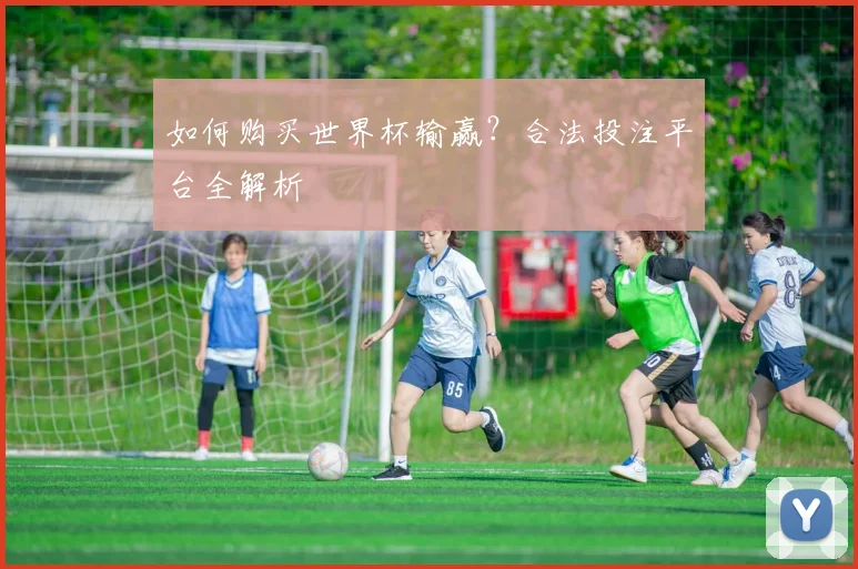 如何购买世界杯输赢？合法投注平台全解析