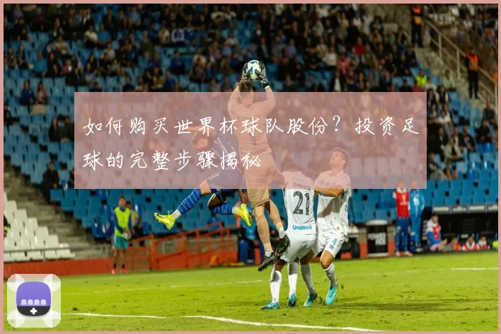 如何购买世界杯球队股份？投资足球的完整步骤揭秘