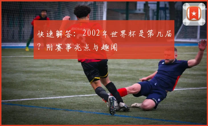 快速解答:2002年世界杯是第几届?附赛事亮点与趣闻