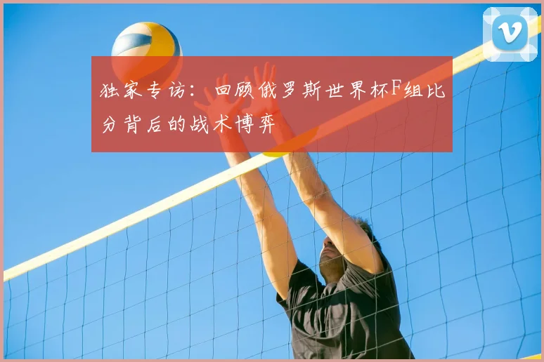 独家专访:回顾俄罗斯世界杯F组比分背后的战术博弈