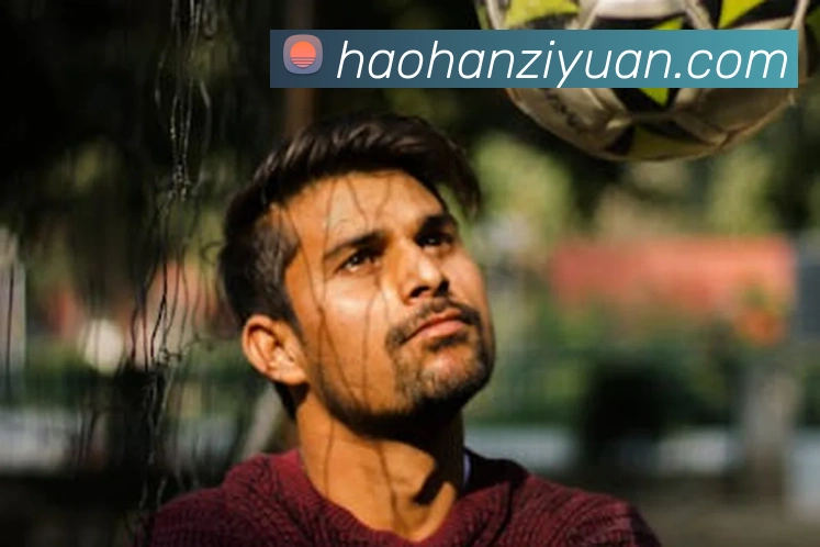 欧宝最新官网服务体系